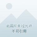 带着星际到末世