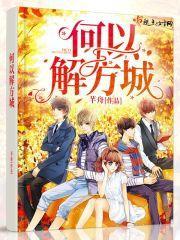 何以解方城