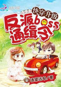 快穿升级:反派boss通缉令