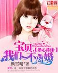 婚心荡漾:宝贝,我们不离婚