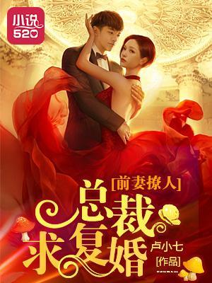 前妻撩人:总裁求复婚
