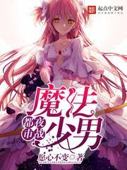 都市夜战魔法少男