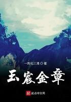 玉宸金章