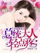 帝枭盛宠:总统大人轻点疼